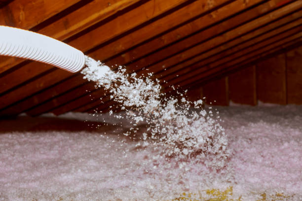 Trusted Dresden, TN Insulation Installation & Removal Experts